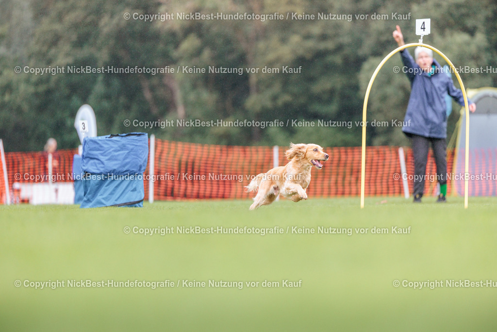 BSP Hoopers-H2-2026-Nickbest-Hundefotografie-TuS Komet Arsten e.V.-3640 | Dein Hund! Dein Moment! Deine Erinnerungen! Hundefotografie in Bremen Blumenthal. Ich fange die besonderen Momente deines Vierbeiners ein – ob Indoor mit Blitzanlage oder in der freien Natur. Sicher dir dein Moment und dein Termin für eure Erinnerungen.