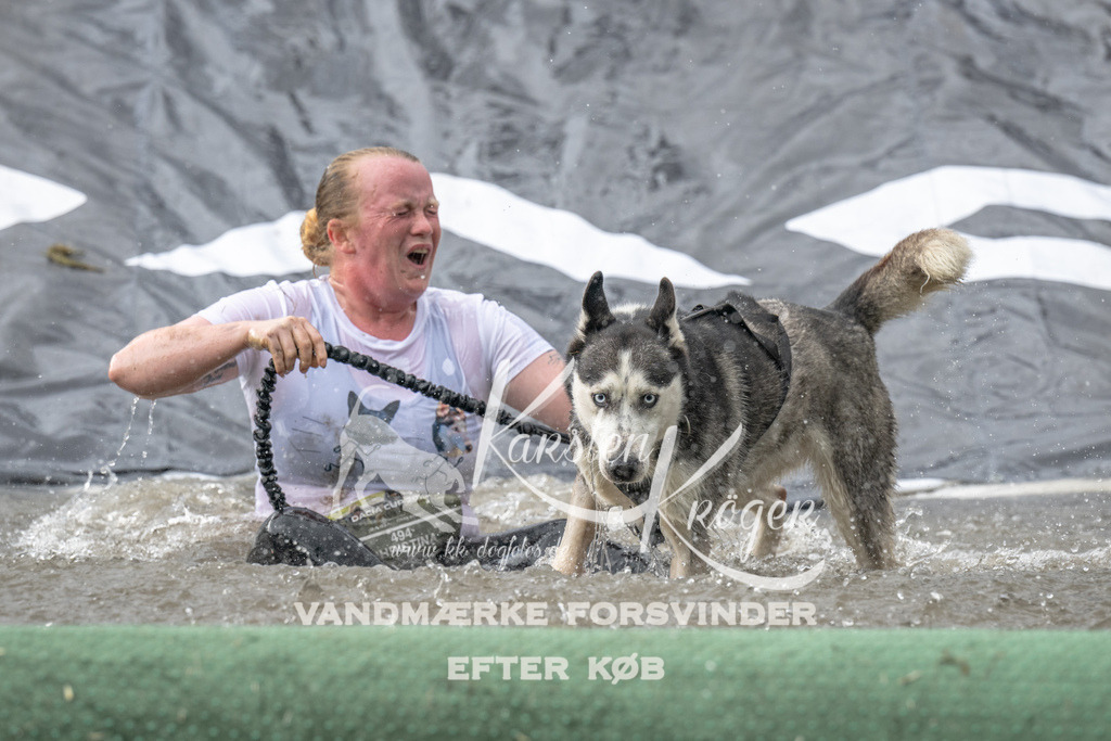 1155_ZZ93976 | kk-dogfotos