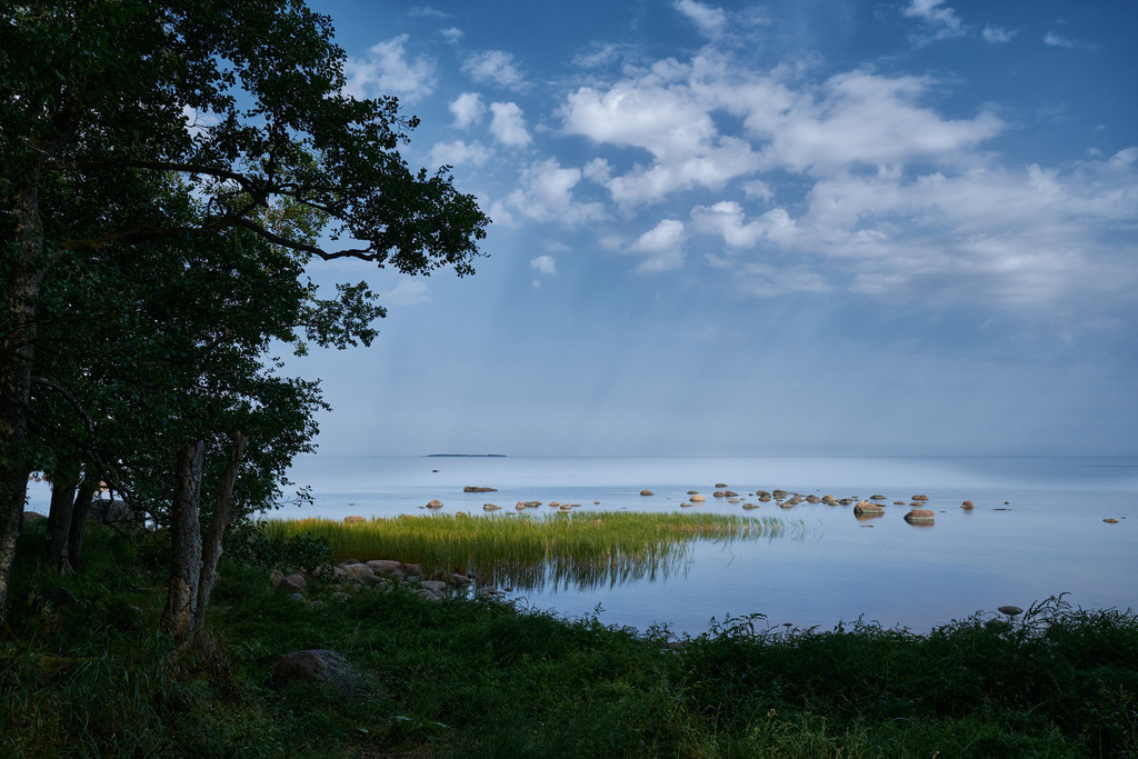 Blick auf das Meer mit Findlinge | Käsmu, Estland - August 24, 2022: Wanderung auf der Halbinsel Käsmu; Blick auf das Meer mit Findlinge. - Realisiert mit Pictrs.com