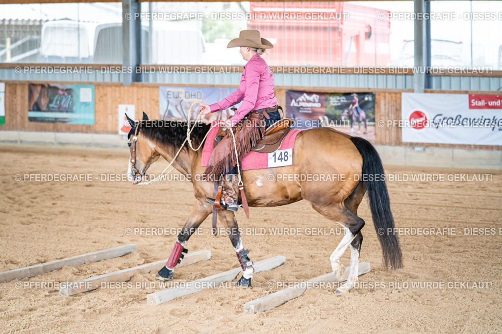 DSC08895 | Pferdegrafie