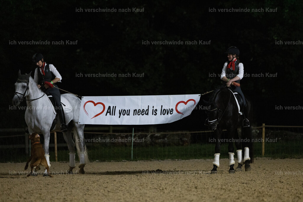Gala-504 | working equitationturnier fotograf videograf stoibphotography marixx film working equitation deutschland reitsport turnierfotografie eventfotografie equestrian events