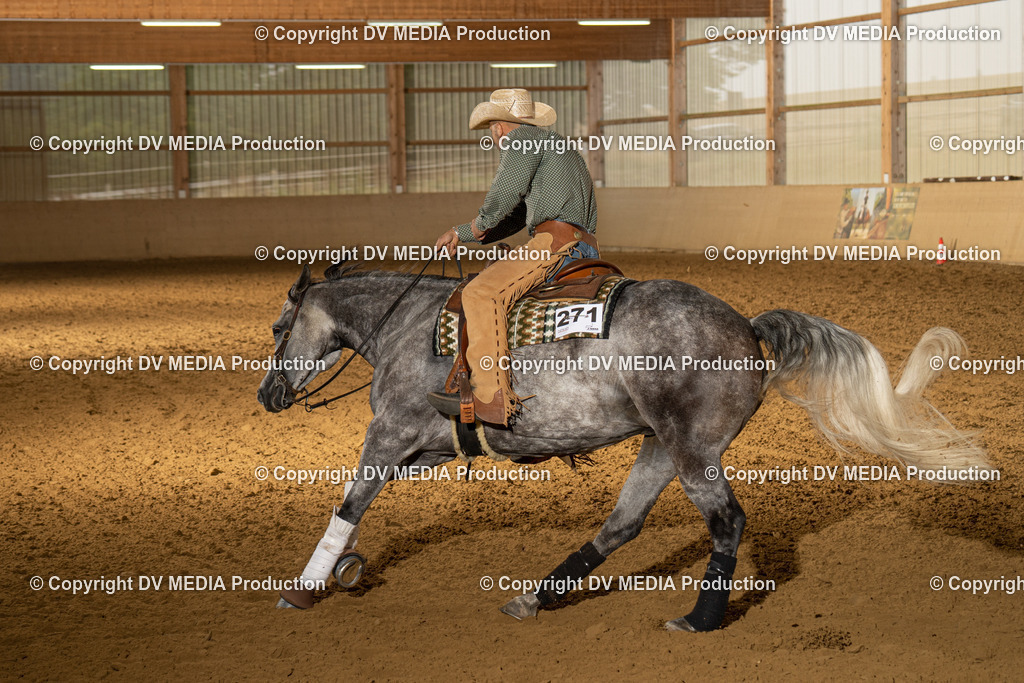 LAU00871 | dv-media-shop - Realisiert mit Pictrs.com