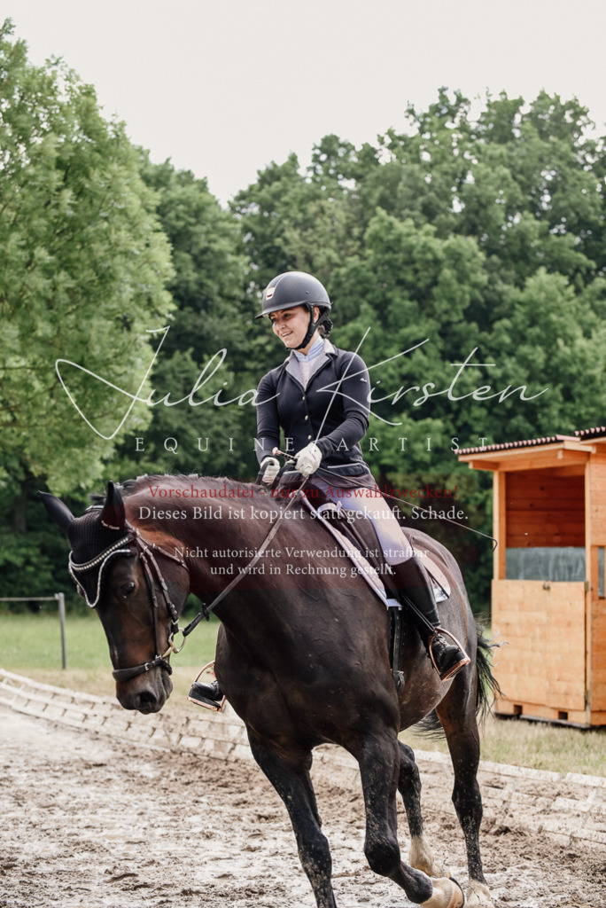 DSC_0587 | Pferde- und Turnierfotografie in Westsachsen. Pferdeportraits, Auftragszeichnungen und intuitive Kunst.
