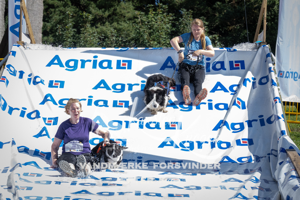 1132_ZZ92433 | kk-dogfotos