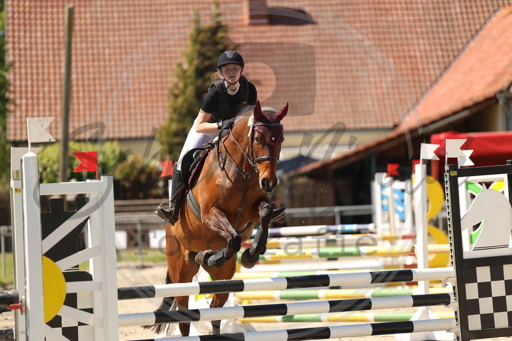 994A5789 | sabrinanicolaifotografie - Realisiert mit Pictrs.com