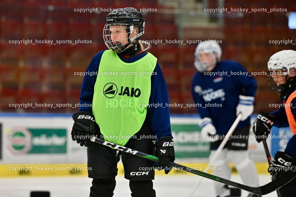 Z9B_3346 | hockey sports photos, Pressefotos, Sportfotos, hockey247, win 2day icehockeyleague, Handball Austria, Floorball Austria, ÖVV, Kärntner Eishockeyverband, KEHV, KFV, Kärntner Fussballverband, Österreichischer Volleyballverband, Alps Hockey League, ÖFB, 