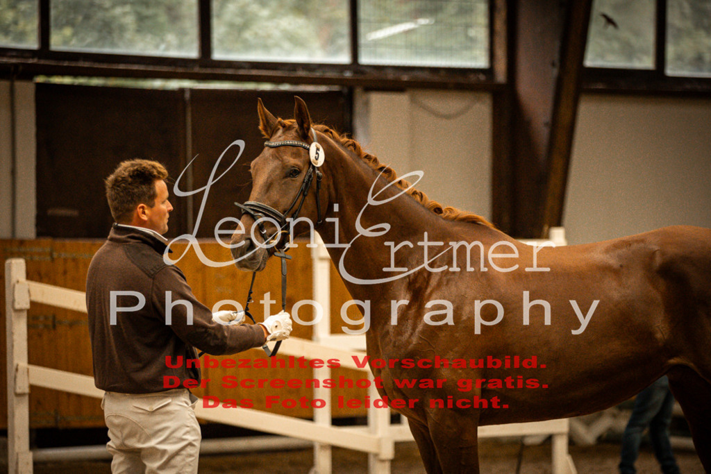 1FS_L00079 | Leoni Ertmer Photography - Realisiert mit Pictrs.com