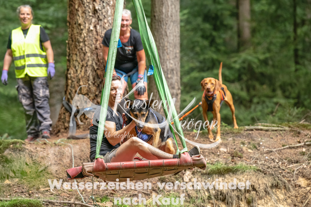 1134_ZZ94779-Bearbeitet | kk-dogfotos