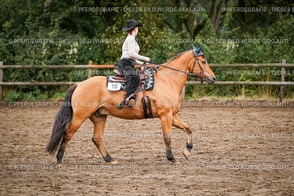 DSC04875 | Pferdegrafie