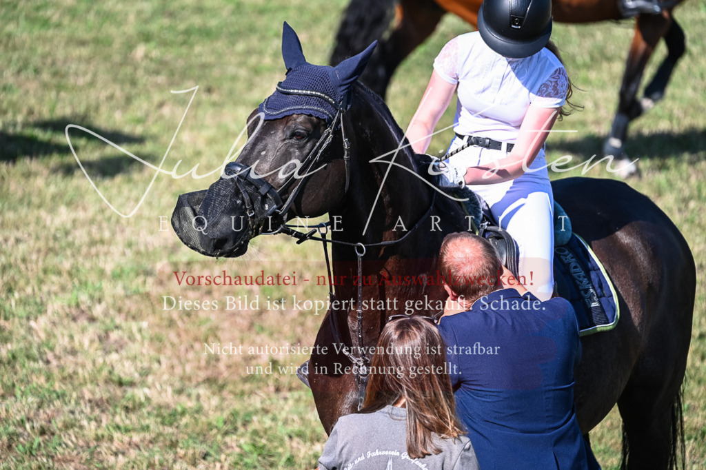 DSC_2601 | Pferde- und Turnierfotografie in Westsachsen. Pferdeportraits, Auftragszeichnungen und intuitive Kunst.
