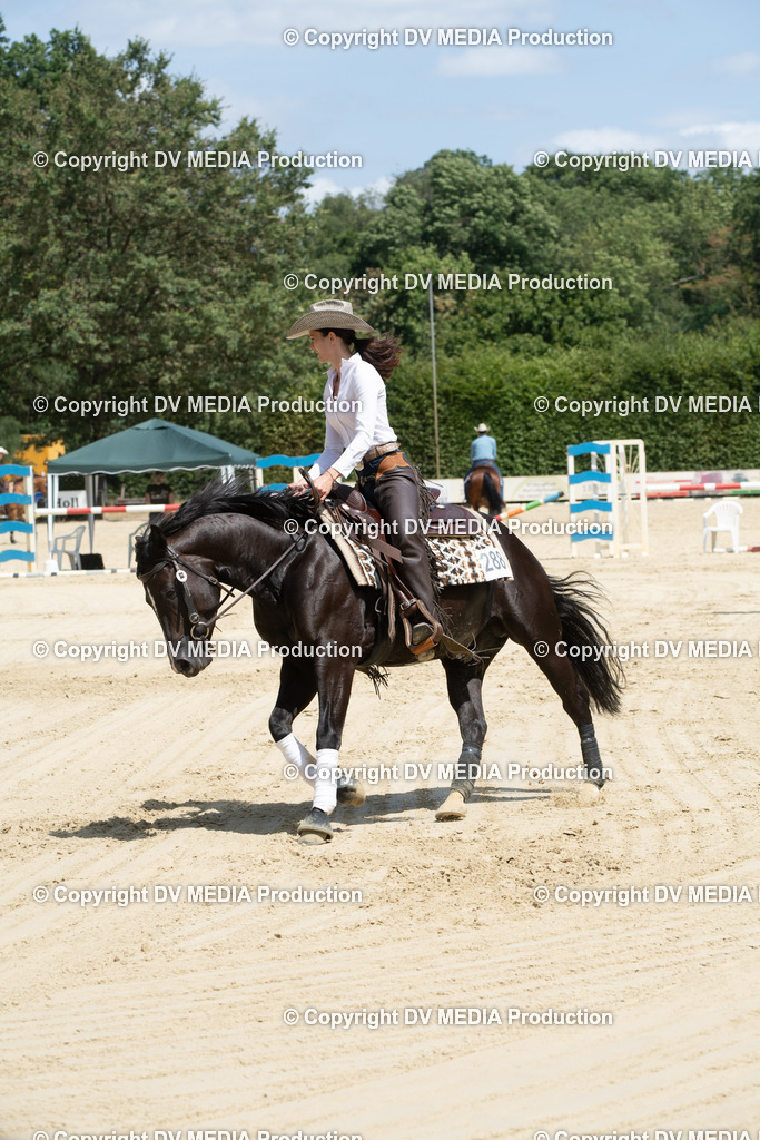 ZS3_0003 | dv-media-shop - Realisiert mit Pictrs.com