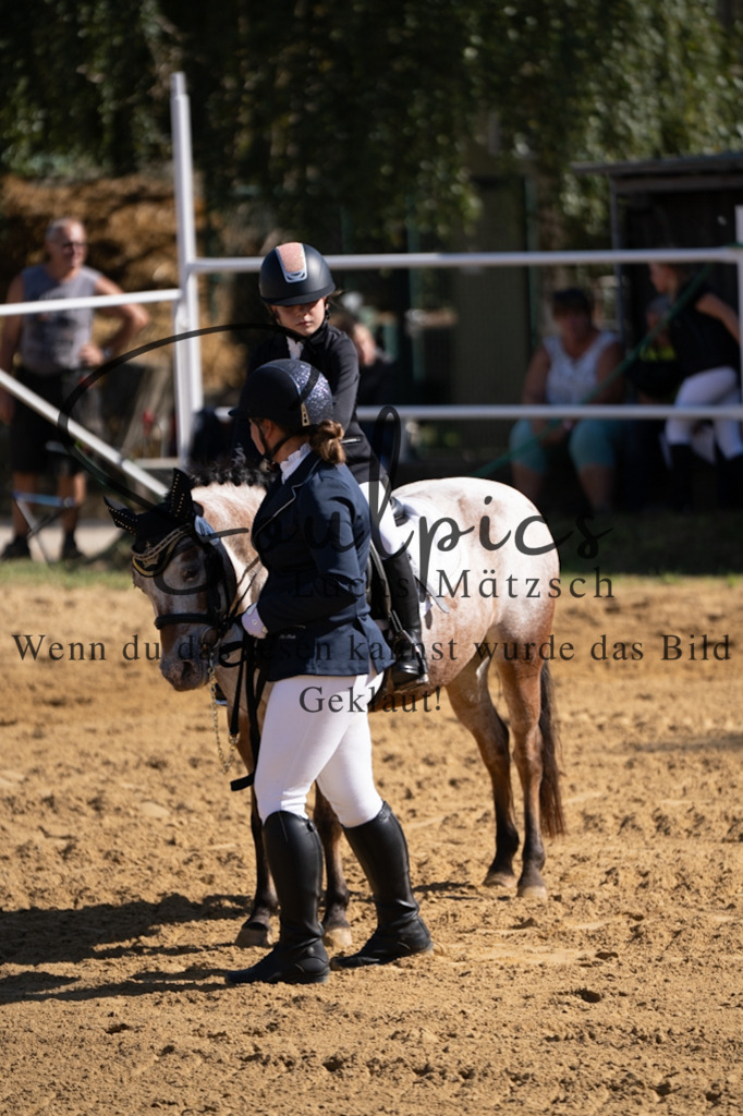 A7V02429 | Pferdefotograf