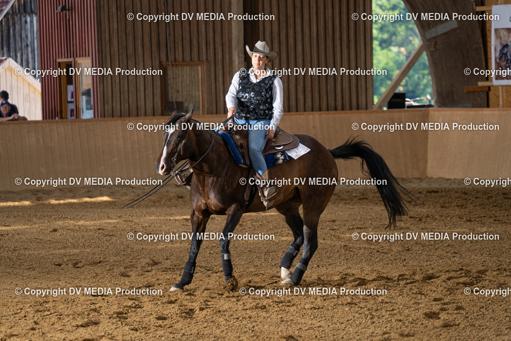 DSC00158 | dv-media-shop - Realisiert mit Pictrs.com