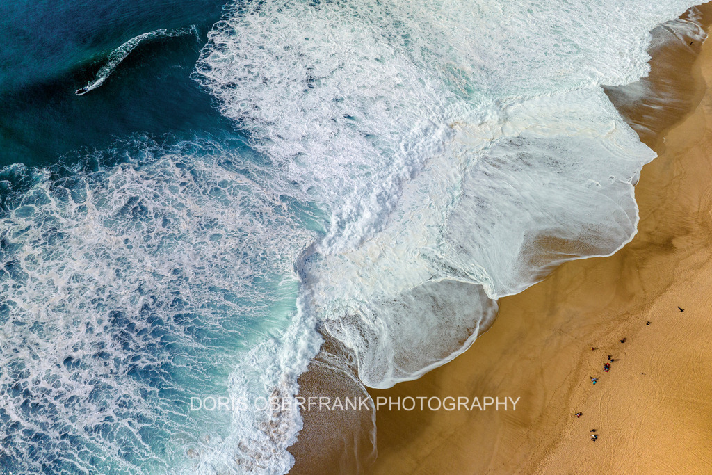 Ocean Flower II | Nazaré: Ocean Flower II - Realisiert mit Pictrs.com