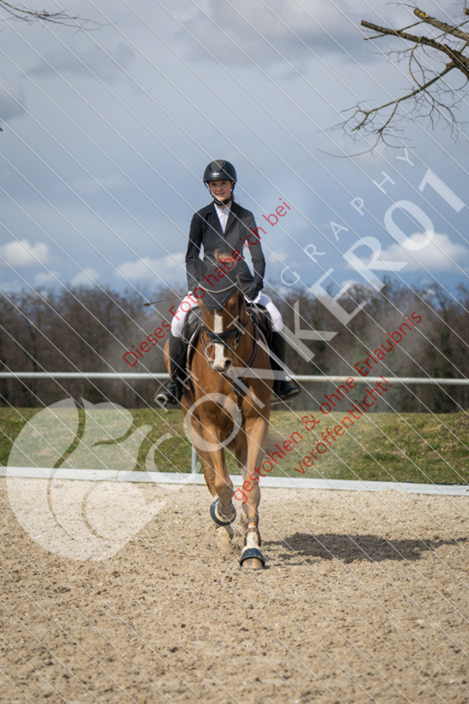 IMG_4289 | Sport-, Event- und Tierfotos in Profiqualität. Einfach auswählen, bestellen und herunterladen. Dein Moment – perfekt festgehalten.