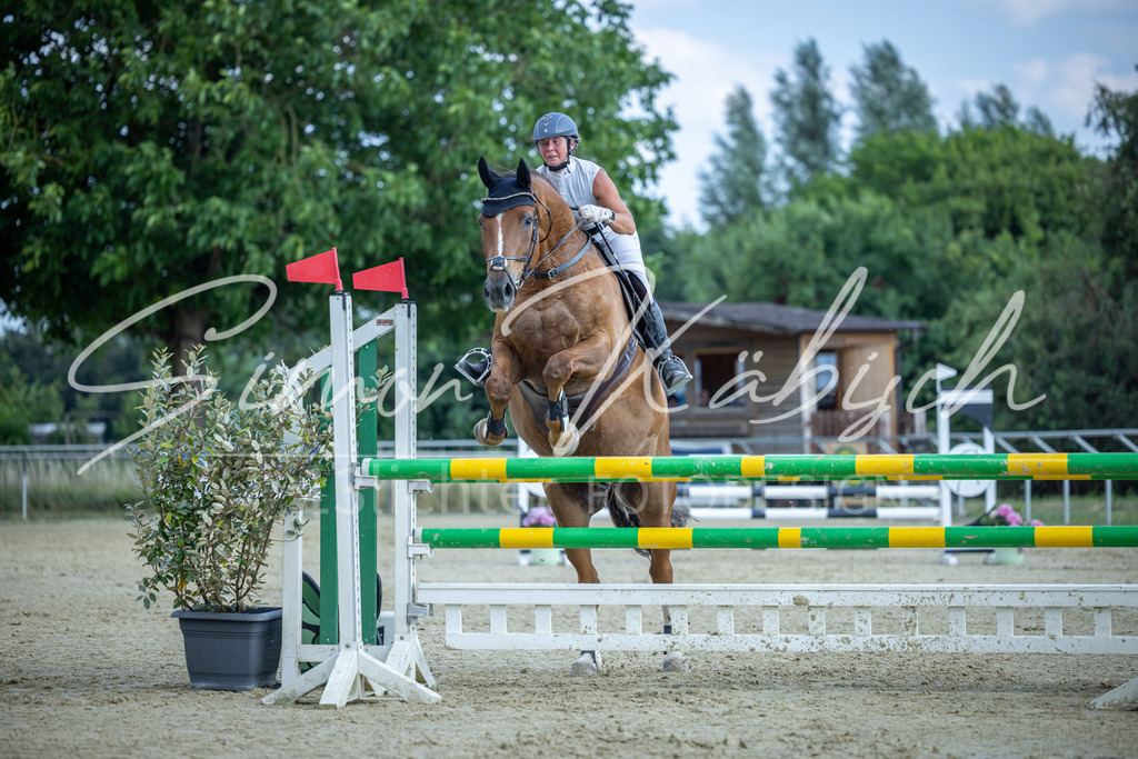 20260704-_3LI2238 | Tierfotografie Pferde, Hunde, Katzen, Haustiere.
Turnierfotografie Reitturniere, Reiten, Springreiten, Dressur in Hanau, dem Main-Kinzig-Kreis und dem Rhein-Main- Gebiet um Frankfurt