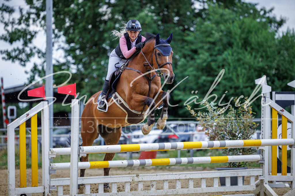 20260705-_3LI5368 | Tierfotografie Pferde, Hunde, Katzen, Haustiere.
Turnierfotografie Reitturniere, Reiten, Springreiten, Dressur in Hanau, dem Main-Kinzig-Kreis und dem Rhein-Main- Gebiet um Frankfurt