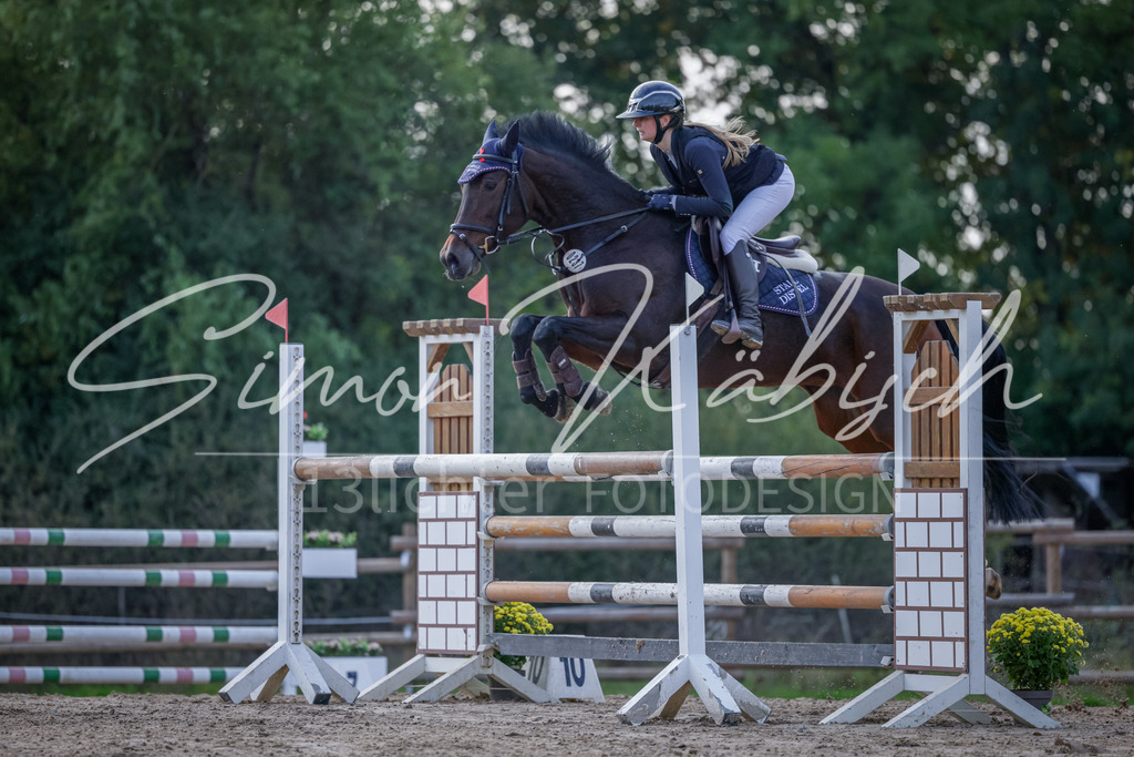 20251012-_3LI5719 | Tierfotografie Pferde, Hunde, Katzen, Haustiere.
Turnierfotografie Reitturniere, Reiten, Springreiten, Dressur in Hanau, dem Main-Kinzig-Kreis und dem Rhein-Main- Gebiet um Frankfurt
