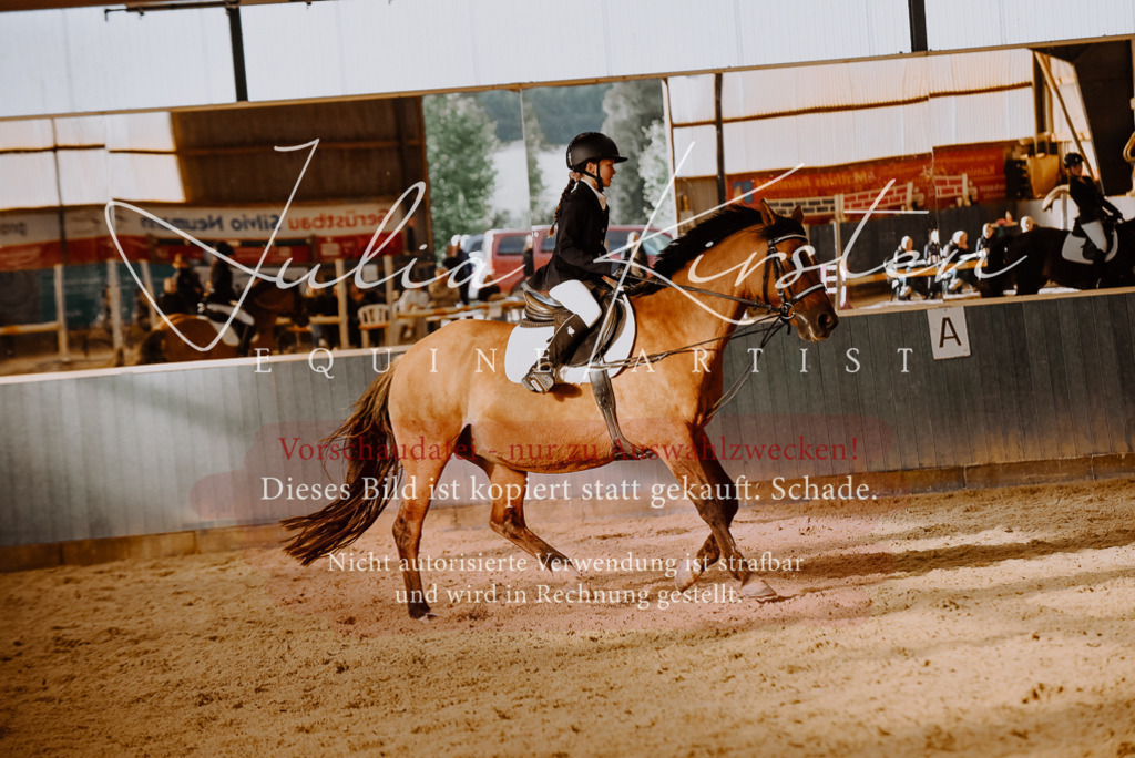 DSC_7570 | Pferde- und Turnierfotografie in Westsachsen. Pferdeportraits, Auftragszeichnungen und intuitive Kunst.