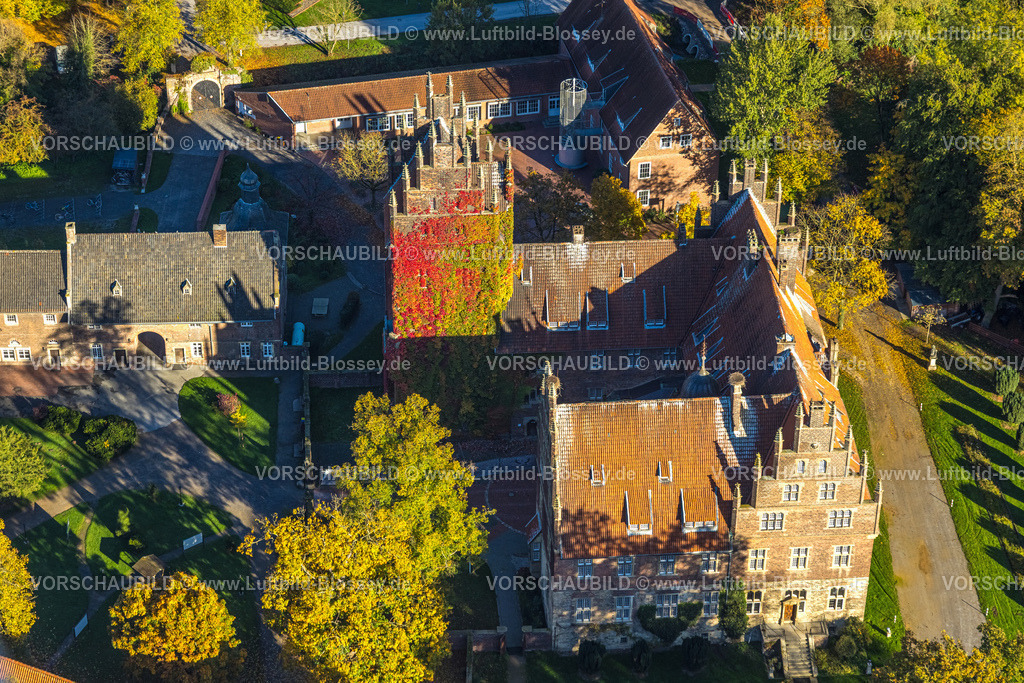 Hamm251001017 | Luftbild, Schloss Heessen Privatschule und Internat, farbenfrohe Hausfassade mit Pflanzenbewuchs, Storchennest auf dem Dach Kamin, herbstliche Bäume, Stadtbezirk Heessen, Hamm, Ruhrgebiet, Nordrhein-Westfalen, Deutschland