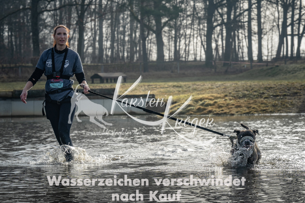 0933_ZZ92308 | kk-dogfotos