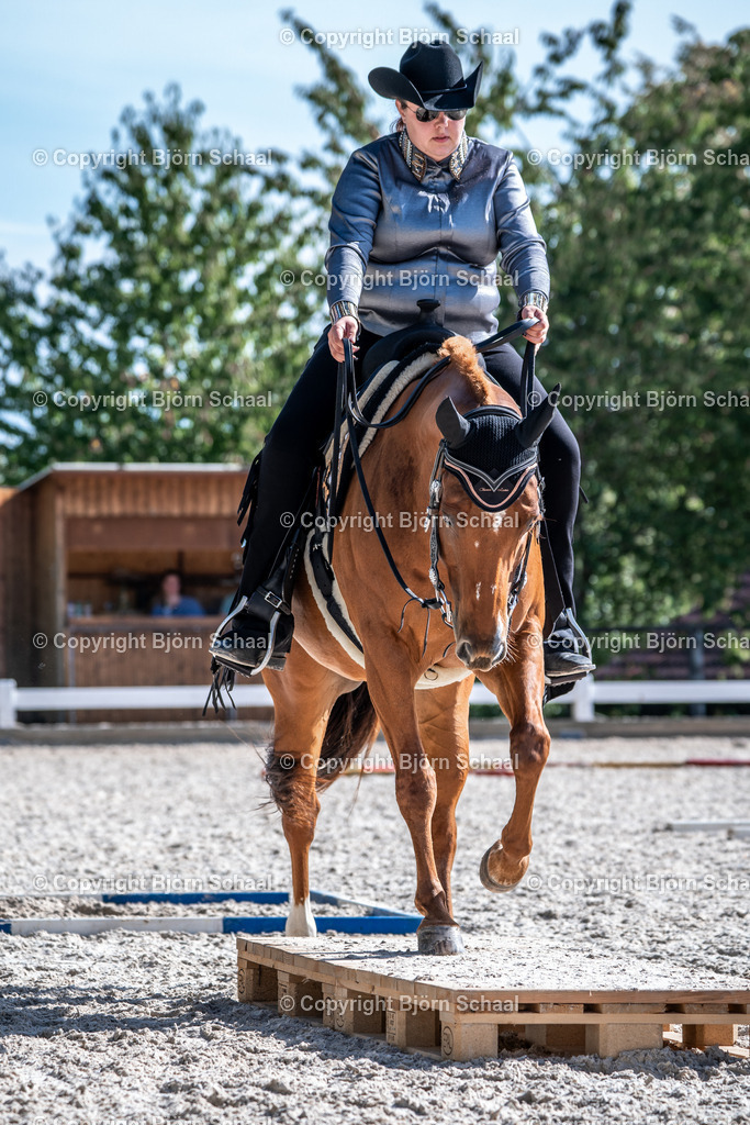 HOB00591 | BS-foto