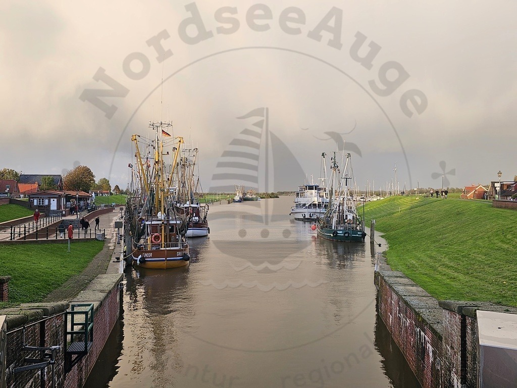 20231014_175912-01 | Nordseeauge Onlineshop Nordseebilder Nordseeshop Nordseefotos Nordseeurlaub Nordseeerleben Nordseemomente UrlaubfuerzuHause Meerbilder Strandurlaub Acrylglasbilder Leinwandbilder Nordseekleidung Nordeefanartikel Nordseegeschenke Geschenkeshop - Realisiert mit Pictrs.com