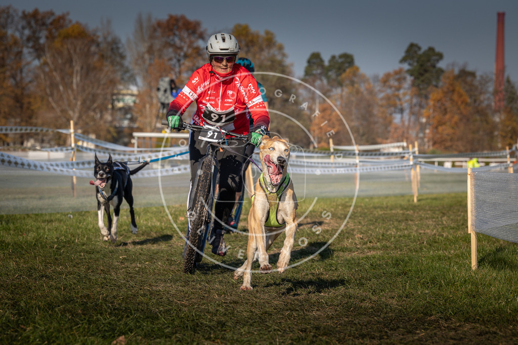 CaniXpix_0L8A5912 | Hundefotografie, Tierfotograf, Pfotenfotografie, Fotoshooting Hund, Hunde Portrait, Hundesport, Hundeportraits, Heideshooting, Hunde, Sportfotograf, Hundefotograf, Turnierhundsport, THS,  - Realisiert mit Pictrs.com