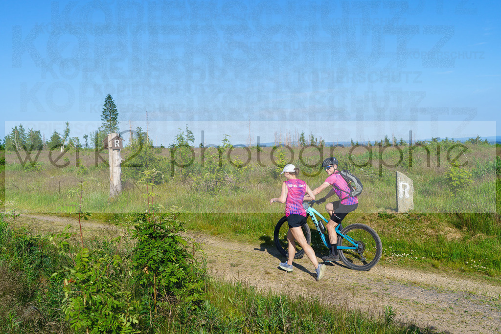 25. Rennsteig-Staffellauf | 170 km Hörschel - Blankenstein