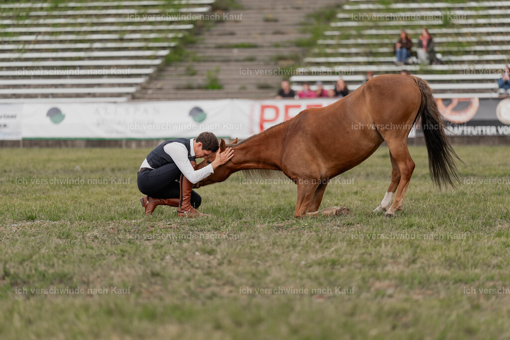 Showprogramm-423 | working equitationturnier fotograf videograf stoibphotography marixx film working equitation deutschland reitsport turnierfotografie eventfotografie equestrian events
