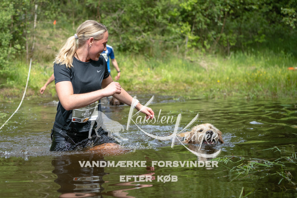 1040DKK993440 | kk-dogfotos