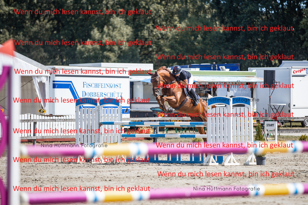 BK1A6506 | Turnierbilder Turnierfotos Nina Hüffmann Turnierfotografie Pferdefotografie Tierzeichnung Haustierzeichnung Pferdezeichnung Hundezeichnung Videograf  - Realisiert mit Pictrs.com