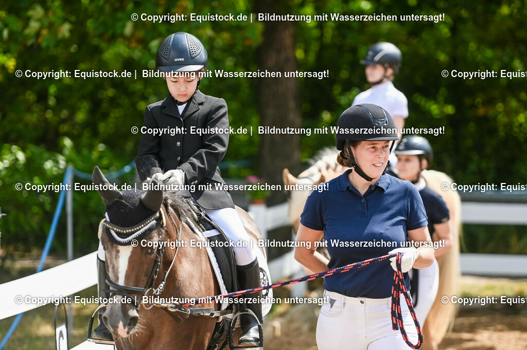 20230716_11_Führzügel-WB_0044 | equistock