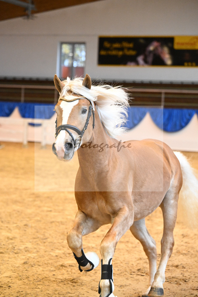 Kat-Nr. 20 nn v. Bugatti_Hock_60220337 | hf-fotografie - Realisiert mit Pictrs.com