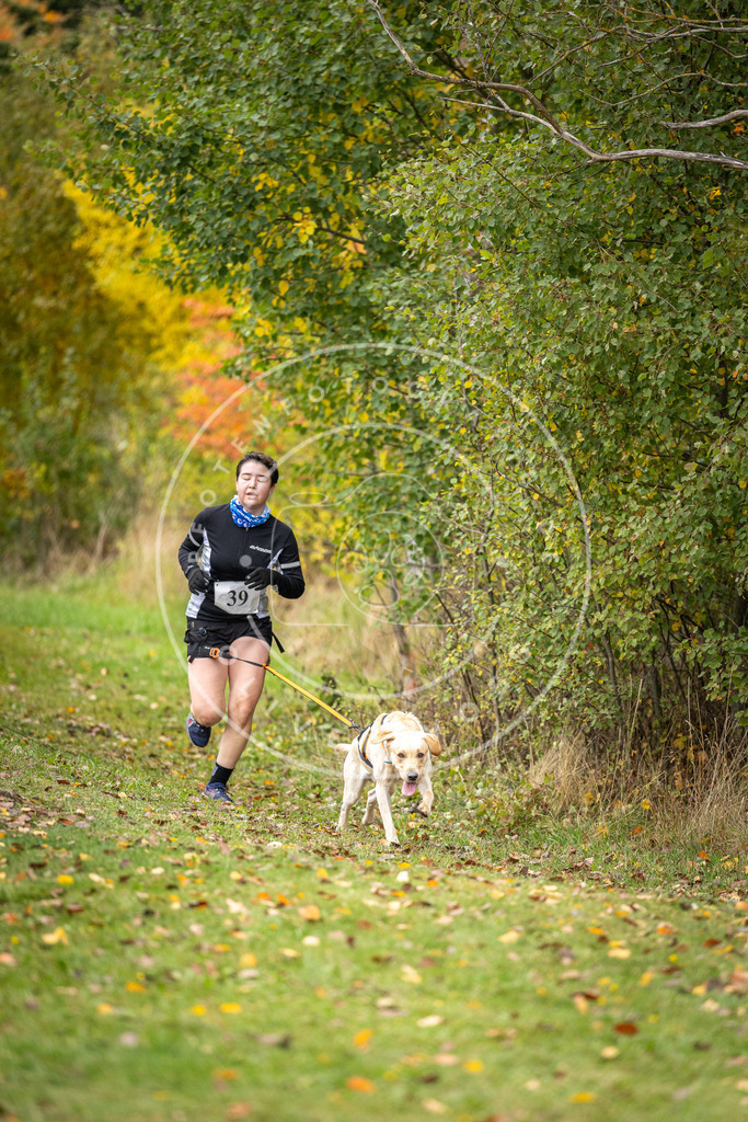 Pfotenfotografie_DV3A2255 | Hundefotografie, Tierfotograf, Pfotenfotografie, Fotoshooting Hund, Hunde Portrait, Hundesport, Hundeportraits, Heideshooting, Hunde, Sportfotograf, Hundefotograf, Turnierhundsport, THS,  - Realisiert mit Pictrs.com