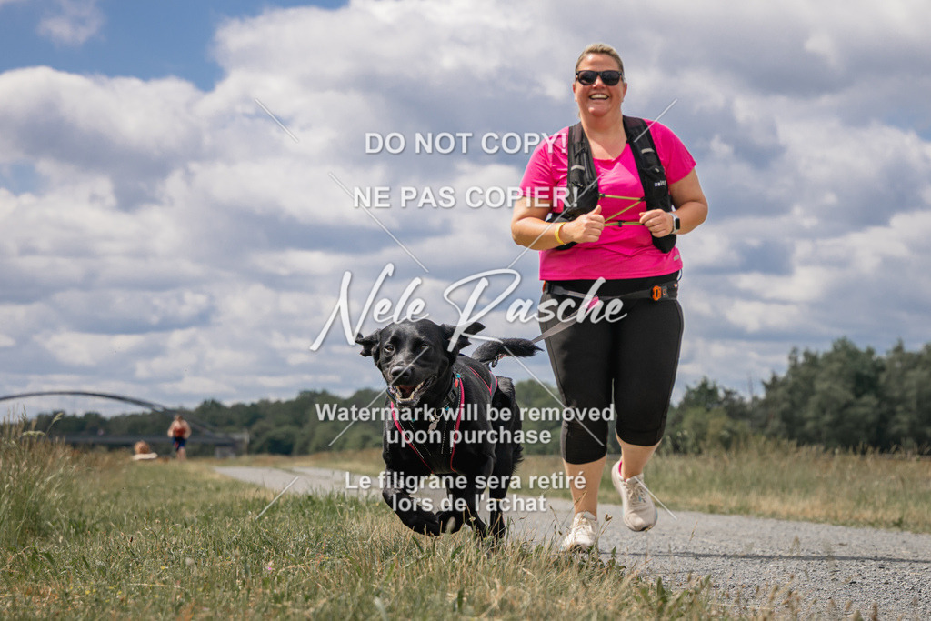nelerasche_BuHu2026_SaCC1100-1200_193 | nelerasche