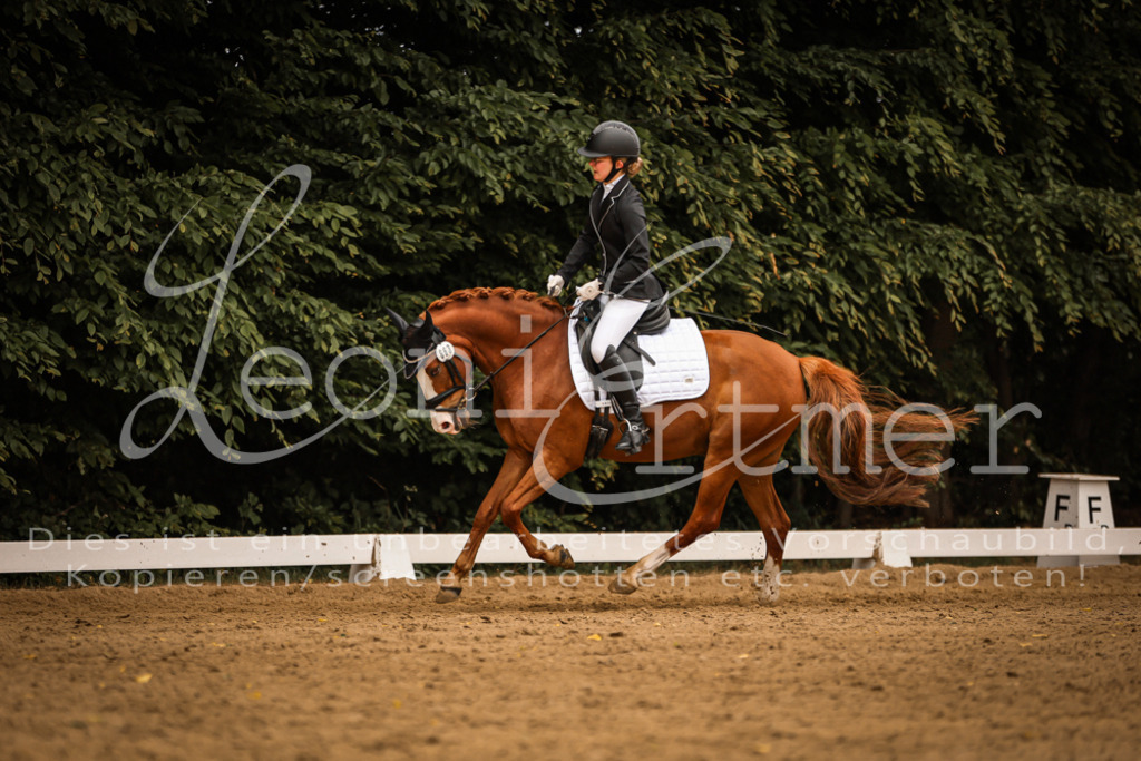 DoDrE00496 | Leoni Ertmer Photography - Realisiert mit Pictrs.com