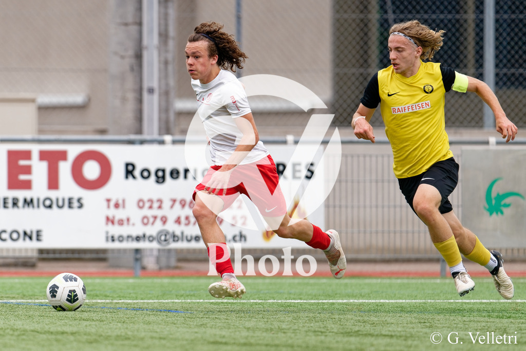 DSC_6635_M | Velletri Photo