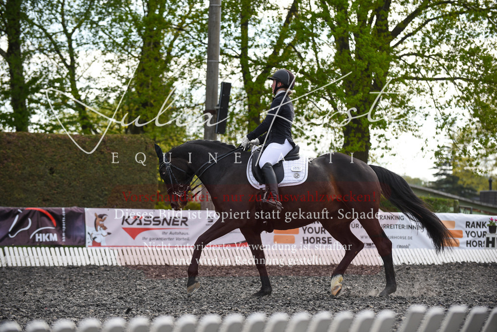 20230513_JK-Röhrsdorf-17-254 | Pferde- und Turnierfotografie in Westsachsen. Pferdeportraits, Auftragszeichnungen und intuitive Kunst.