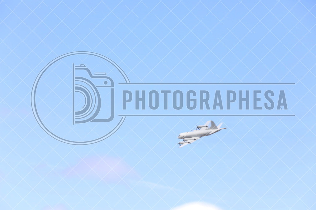 IMG_8813 | photographesa-joergens - Realisiert mit Pictrs.com