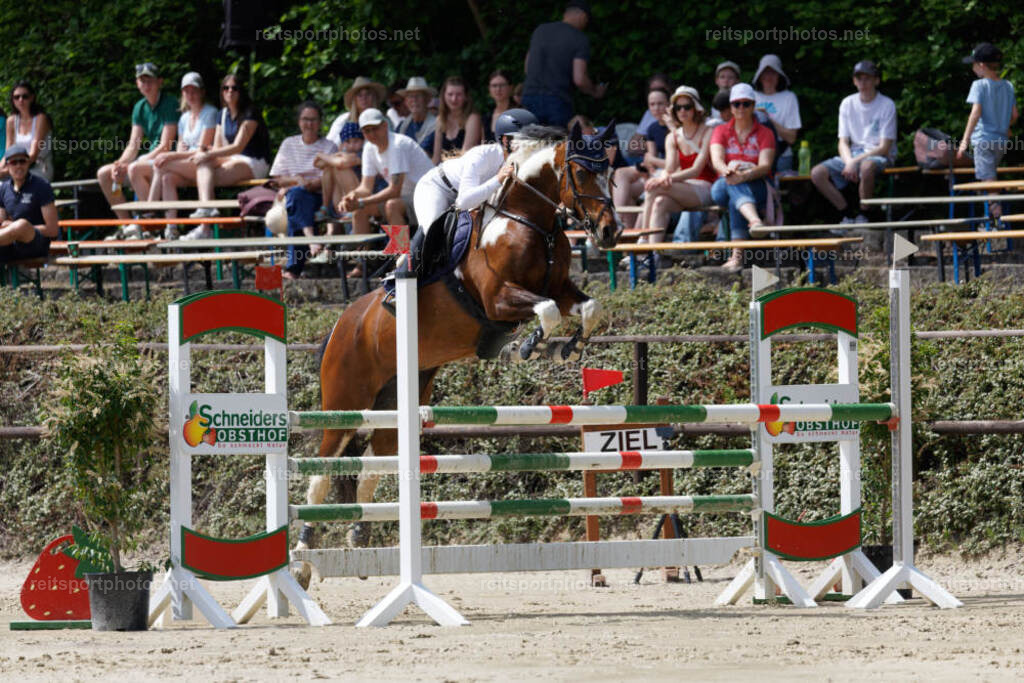 JHE31223 | JoYa Fotografie - Realisiert mit Pictrs.com