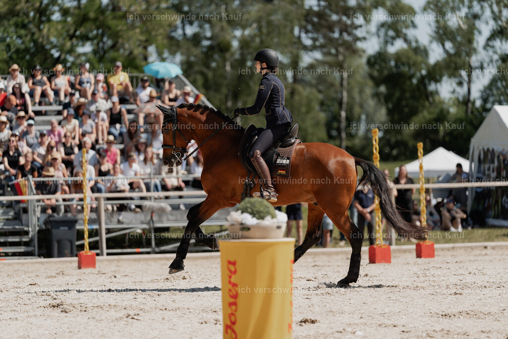 _DSC5453 | Pferd International München 2025