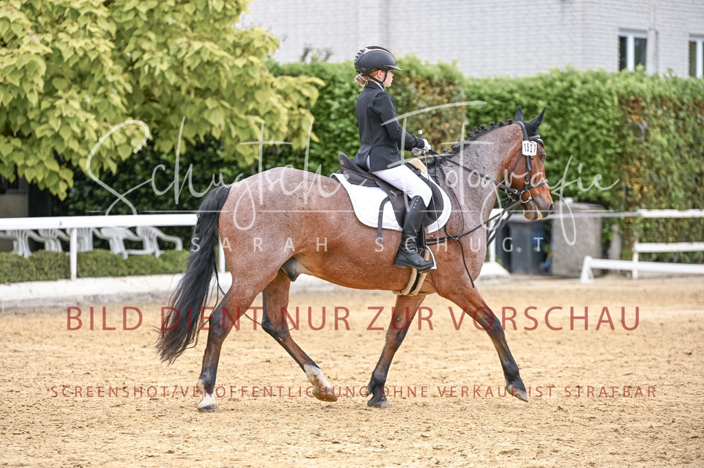 Schugtsche-Aluta25-44.DresssurreiterWB-62 | Schugtsche Fotografie - Realisiert mit Pictrs.com