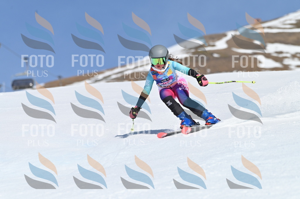 BGV_9396 | holidayphoto