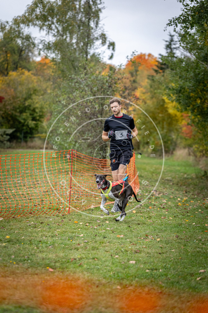 Pfotenfotografie_DV3A1640 | Hundefotografie, Tierfotograf, Pfotenfotografie, Fotoshooting Hund, Hunde Portrait, Hundesport, Hundeportraits, Heideshooting, Hunde, Sportfotograf, Hundefotograf, Turnierhundsport, THS,  - Realisiert mit Pictrs.com