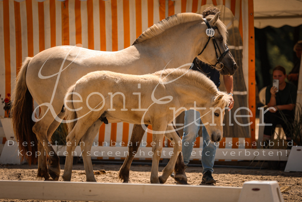 05.DoF00035 | Leoni Ertmer Photography - Realisiert mit Pictrs.com