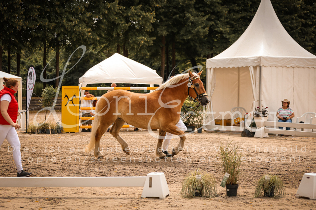 4.Sa00012 | Leoni Ertmer Photography - Realisiert mit Pictrs.com