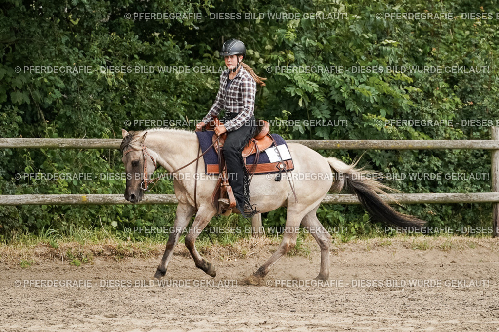 DSC09929 | Pferdegrafie