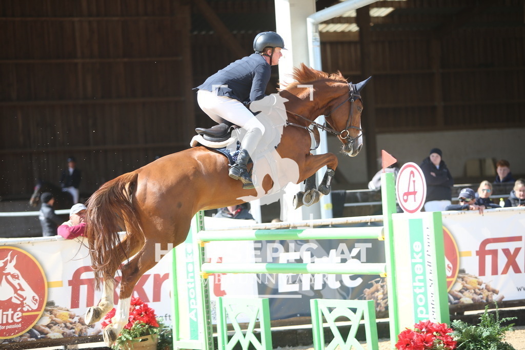 PP015161 | Willkommen bei Brunnmayr - Design & Fotografie – Ihrem Spezialisten für Reitturniere und Pferdeveranstaltungen in Oberösterreich, Salzburg und Bayern! Seit über 17 Jahren sind wir leidenschaftlich dabei.