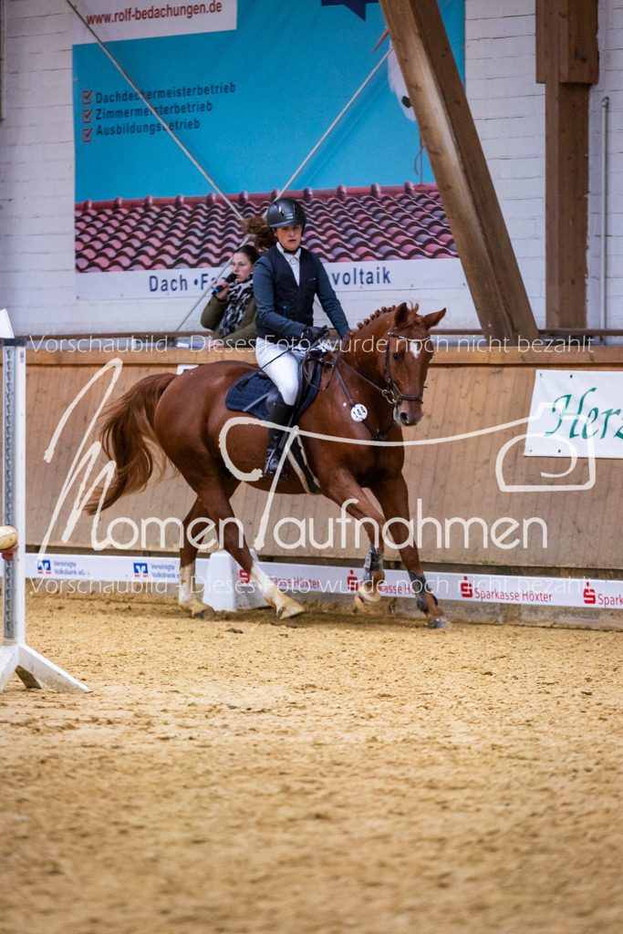 Sth-KombDreSpr-088 | MomenTaufnahmen Pferdesportfotos